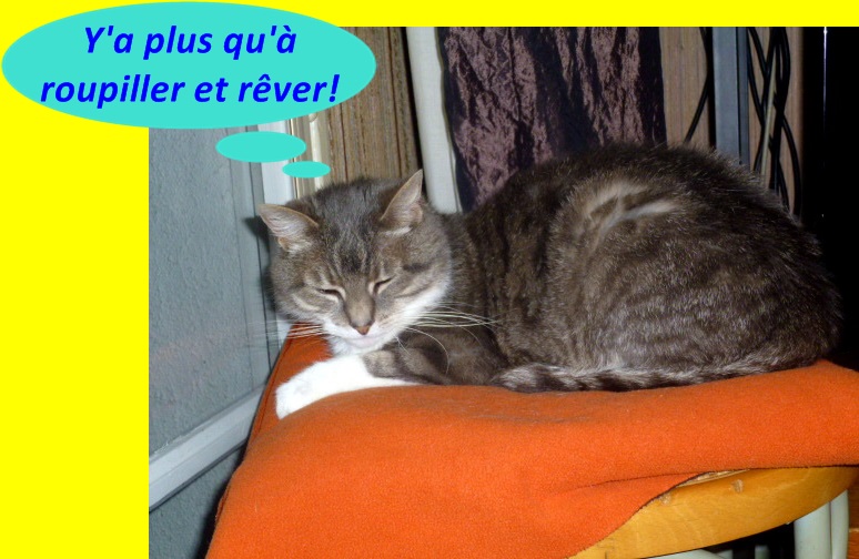 Hebergeur d'image
