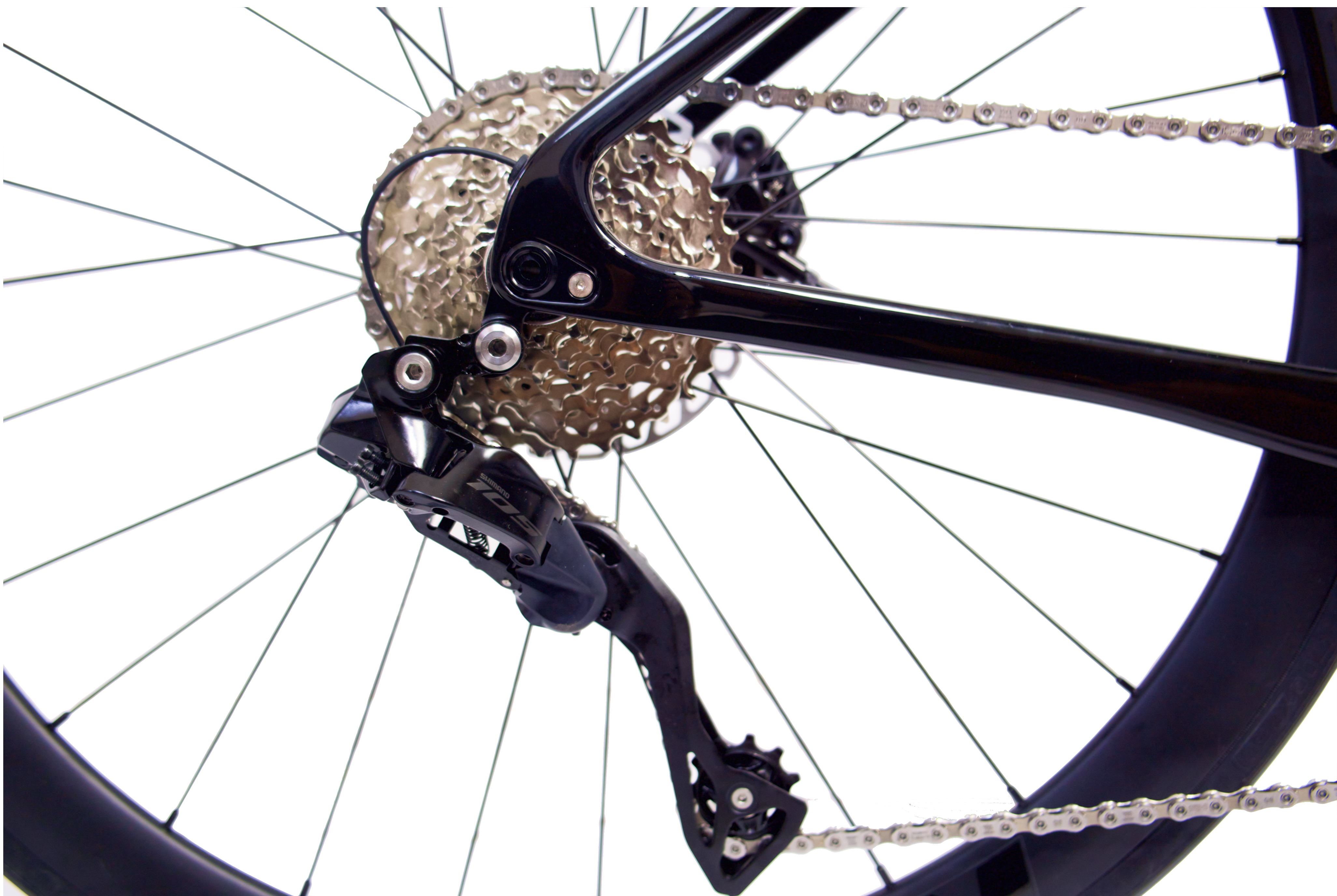 Carbon Frame Detail