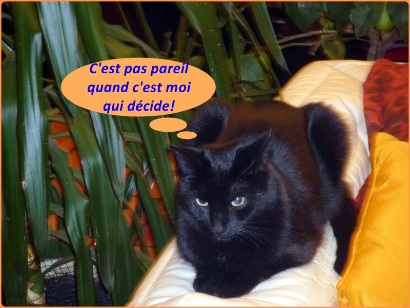 Hebergeur d'image