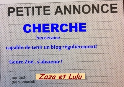 Hebergeur d'image