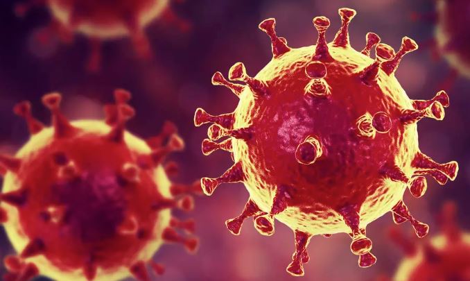 Health Security: A Study on Coronaviruses
