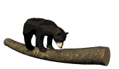 EG9d5.gif