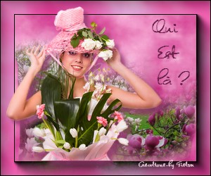 Qui est en ligne ?