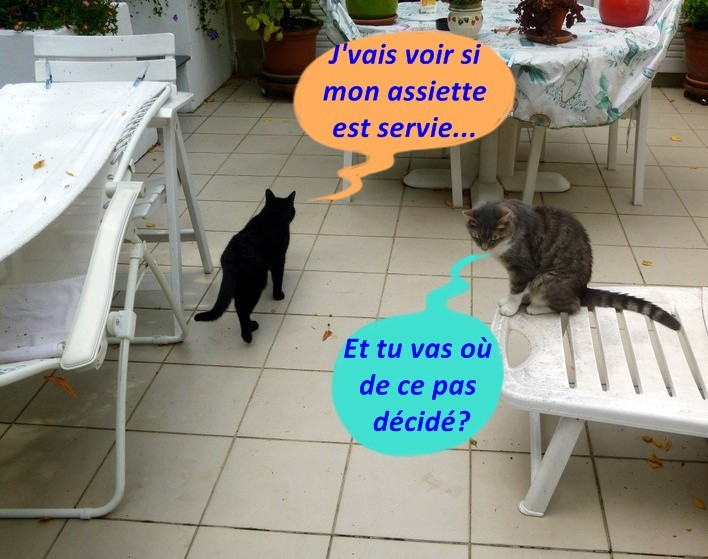 Hebergeur d'image