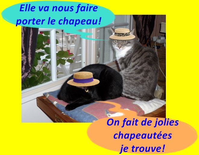 Upload image