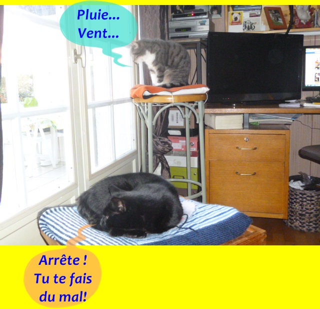 Hebergeur d'image