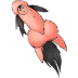 K8ZPD.png