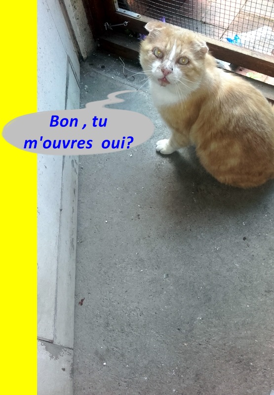 Hebergeur d'image
