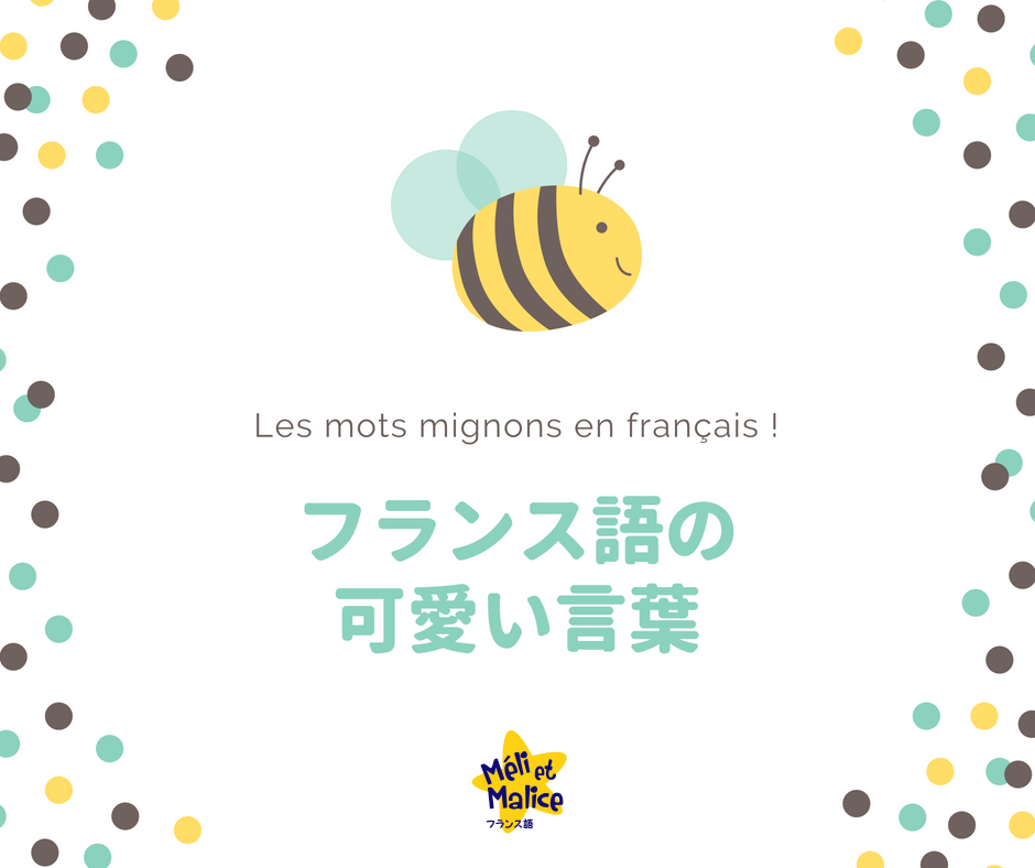 最高の動物画像 50 素晴らしいフランス語 可愛い単語