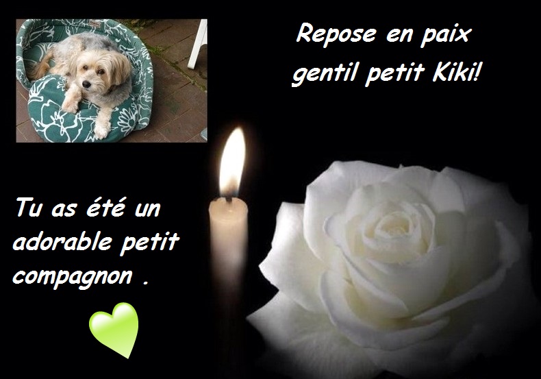 Hebergeur d'image