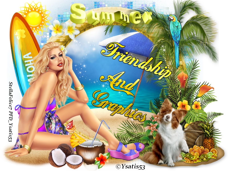 Forum Friendship and Graphics