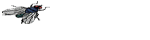 meififif