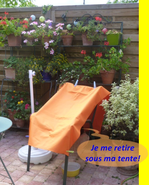 Hebergeur d'image