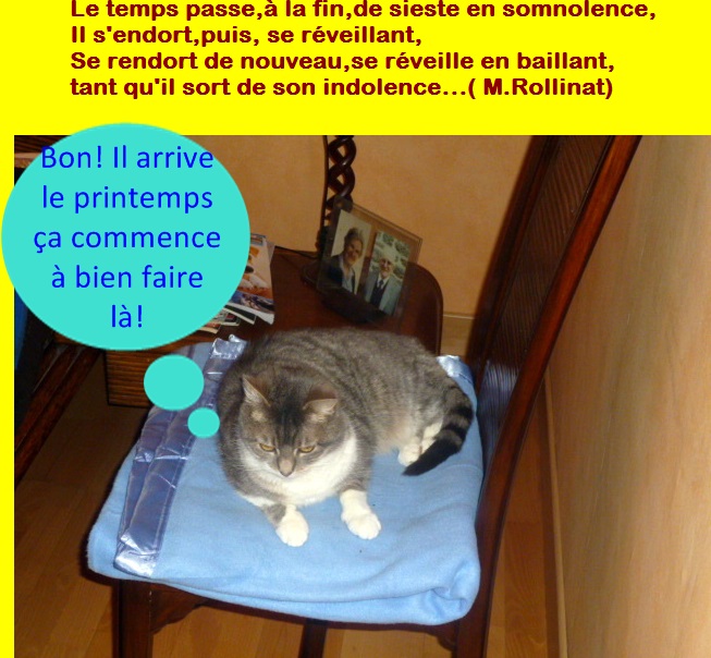 Hebergeur d'image