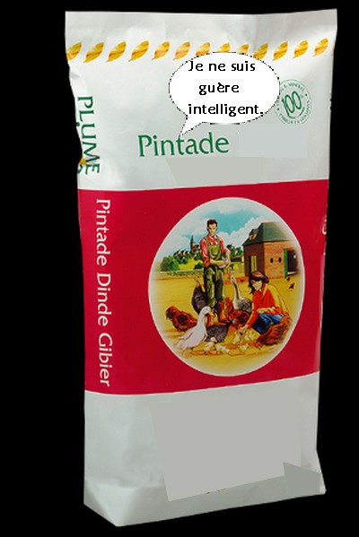 https://i.goopics.net/OGrEl.jpg