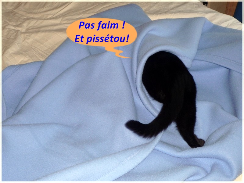 Upload image