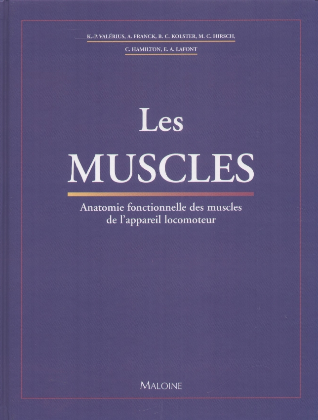 Les Muscles Anatomie Fonctionnelle Des Muscles De L Appareil
