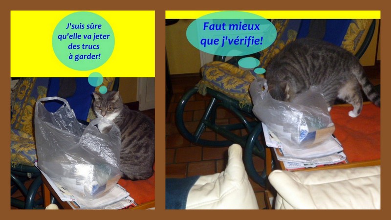 Hebergeur d'image