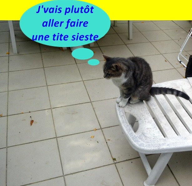 Hebergeur d'image