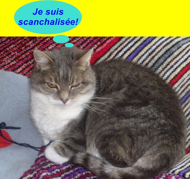 Hebergeur d'image