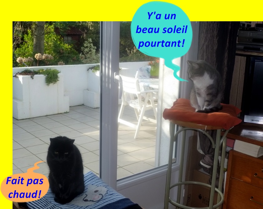 Hebergeur d'image