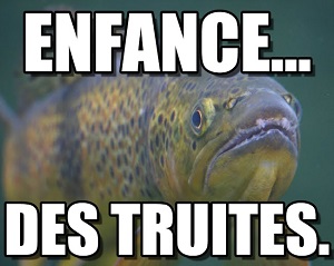 Test du bbcode FluxBB