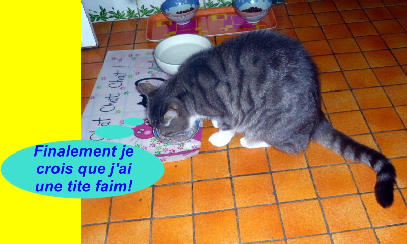 Hebergeur d'image