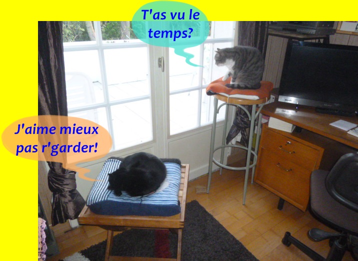 Hebergeur d'image