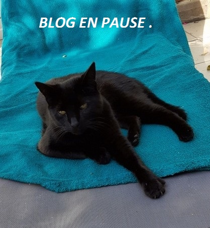 Hebergeur d'image