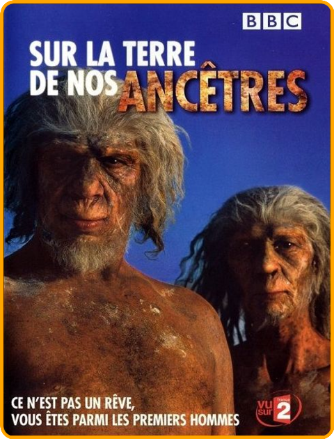 akRa0.png