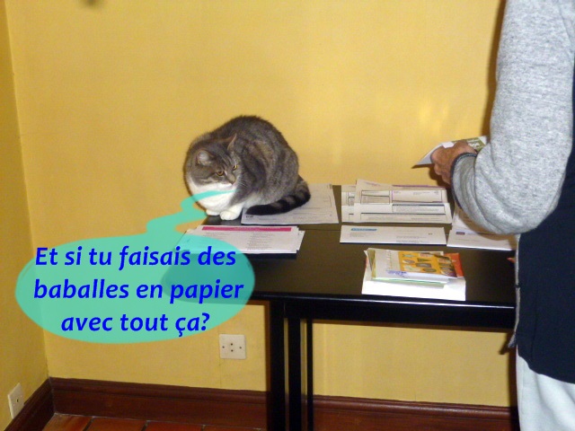 Hebergeur d'image