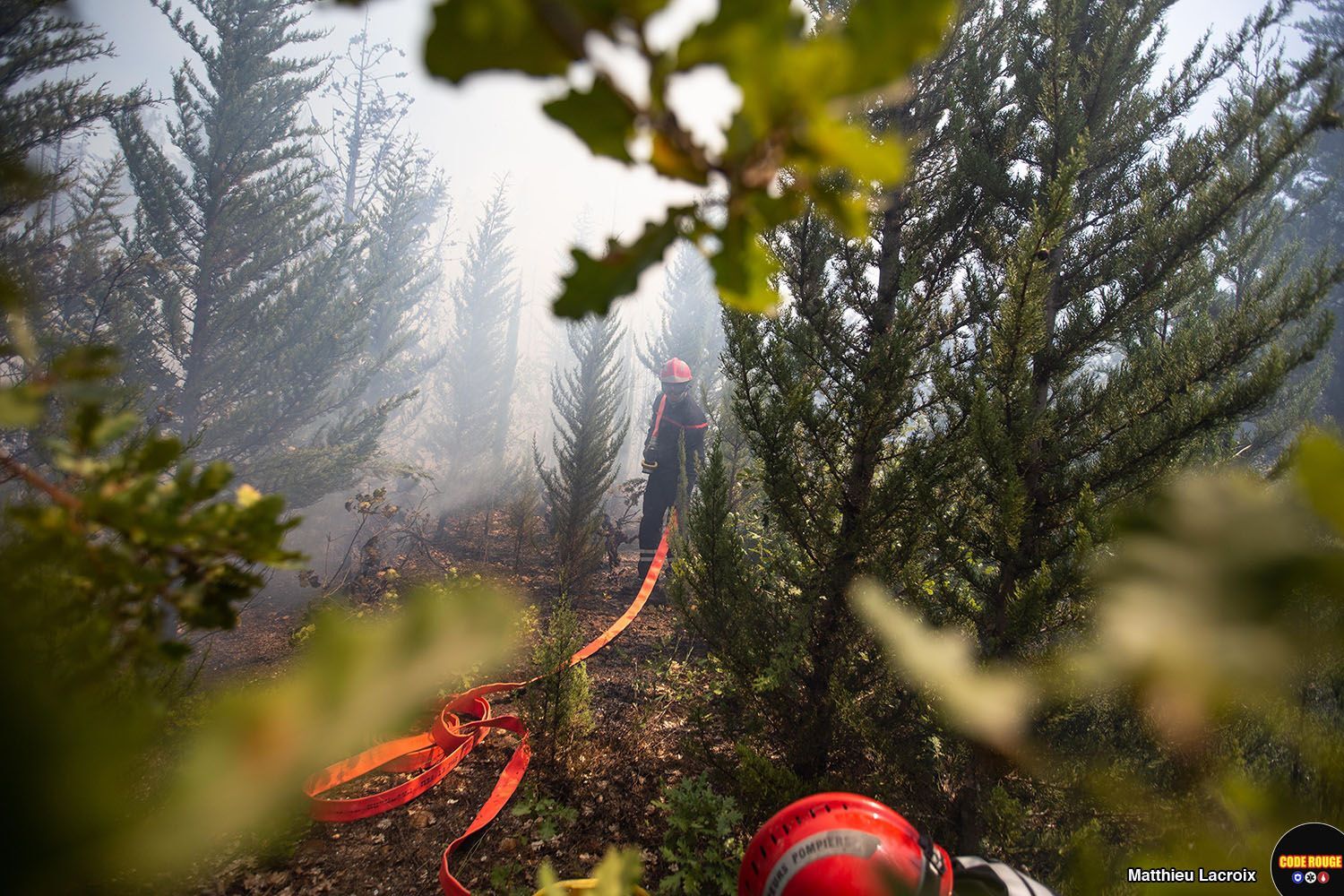 Un sapeur-pompier debout au milieu de la végétation, le visage protégé par son équipement, porte un tuyau sur son épaule