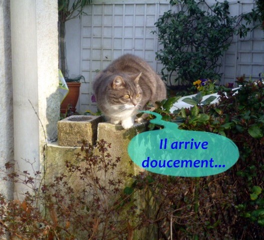 Hebergeur d'image