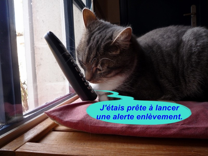 Hebergeur d'image