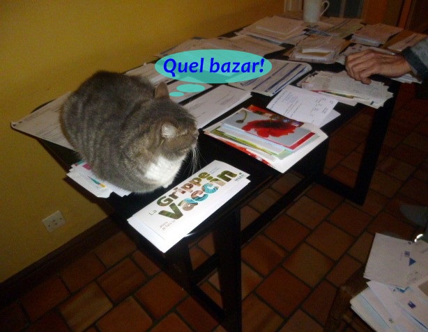 Hebergeur d'image