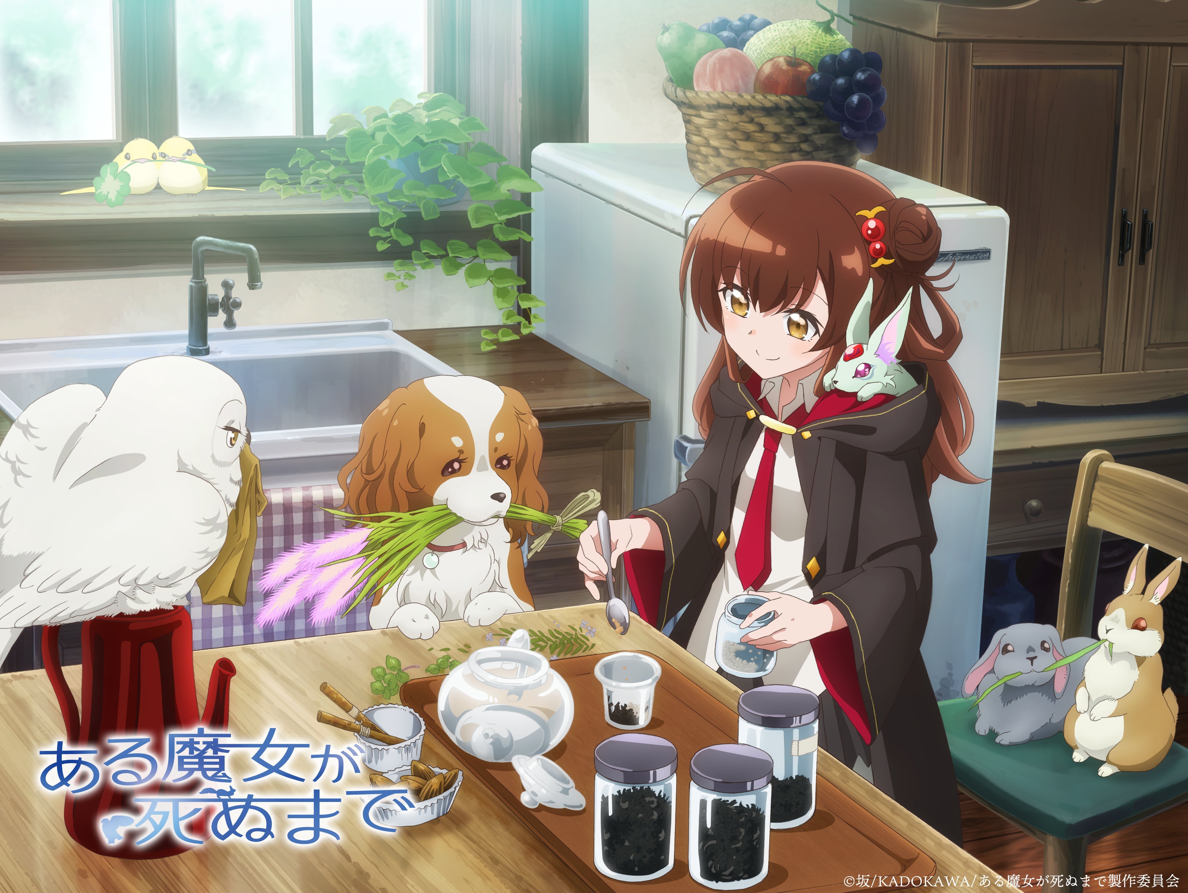 L'adaptation en anime d'Aru Majo ga Shinu Made: Owari no Kotoba to Hajimari no Namida dévoile un 1er visuel situationnel !