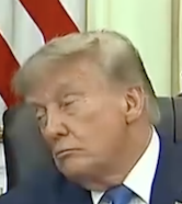 https://i.goopics.net/ddjgq1.png
