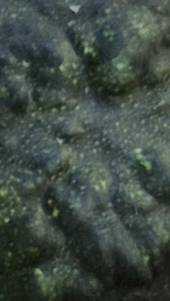 dlcqs2.jpg