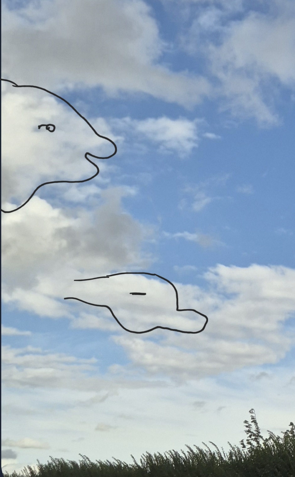 dsn4pq.jpg