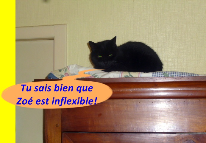 Hebergeur d'image