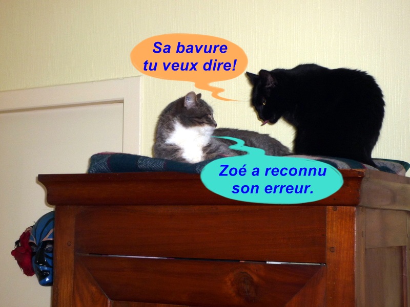 Hebergeur d'image