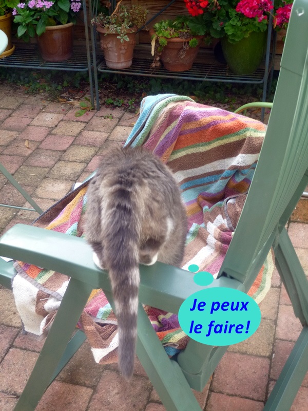 Hebergeur d'image