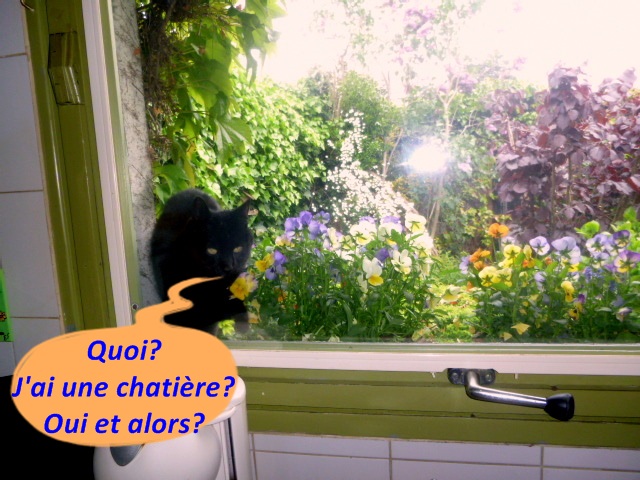 Hebergeur d'image