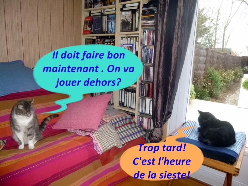 Hebergeur d'image