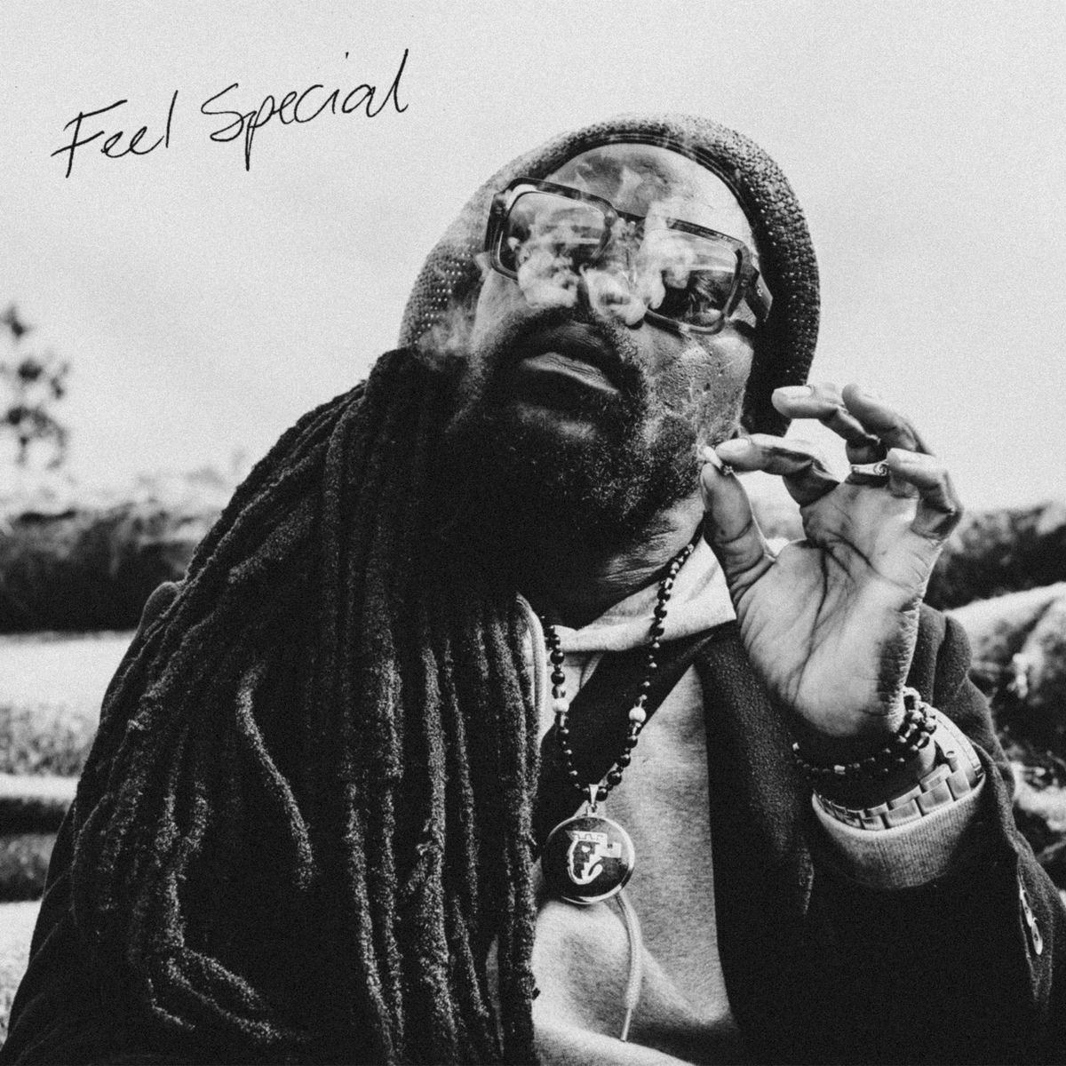 The Strides - Feel Special (Yama-Nui Records) 2026