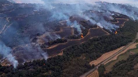 Forêt incendiée