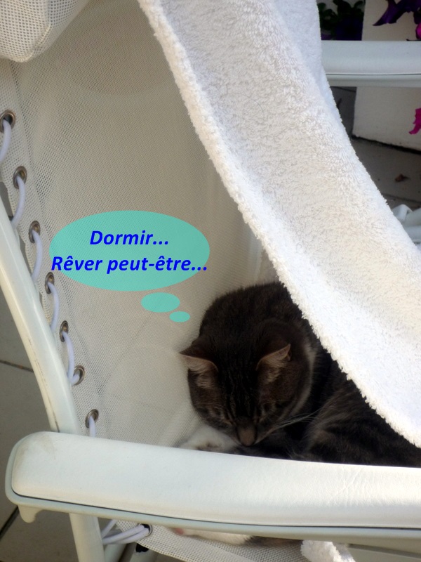 Hebergeur d'image