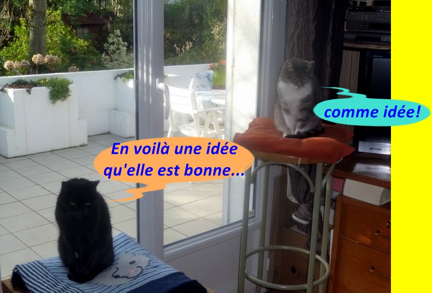 Upload image