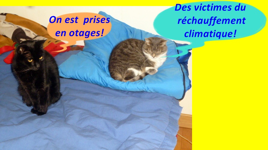 Hebergeur d'image