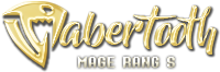 Saber S Saber S